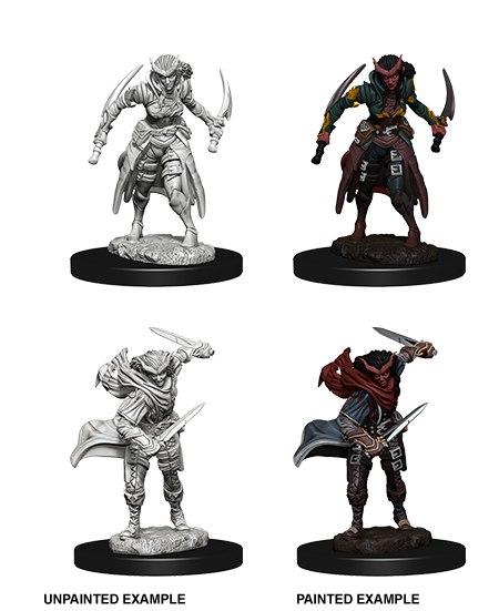 D&D Nolzurs Marvelous Unpainted Miniatures Tiefling Female Rogue