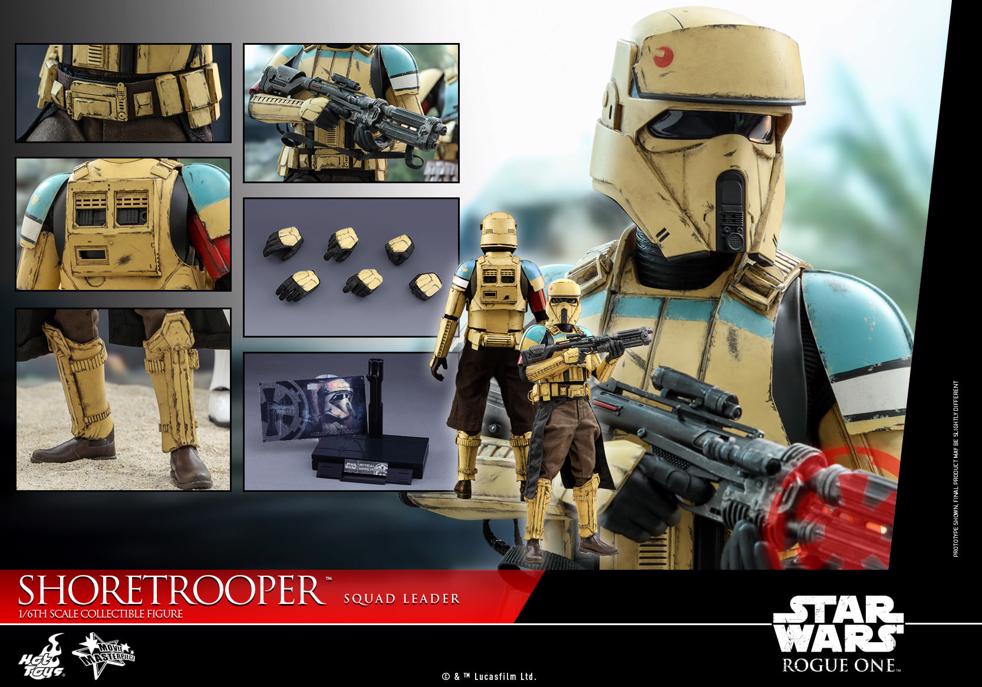 Shoretrooper - Star Wars Hot Toy MMS389
