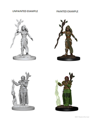 D&D Nolzurs Marvelous Unpainted Miniatures Human Female Druid