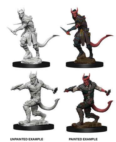 D&D Nolzurs Marvelous Unpainted Miniatures Tiefling Male Rogue