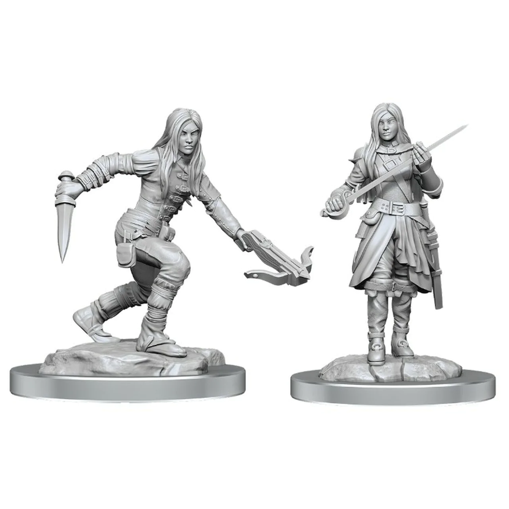 D&D Nolzurs Marvelous Unpainted Miniatures Half-Elf Rogue Female